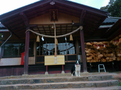 龍ノ口神社