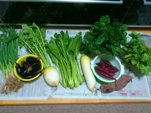 片山さんから野菜